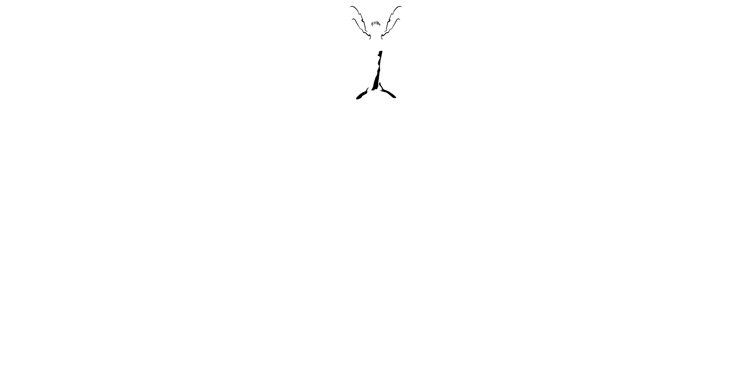 Chic rides logo